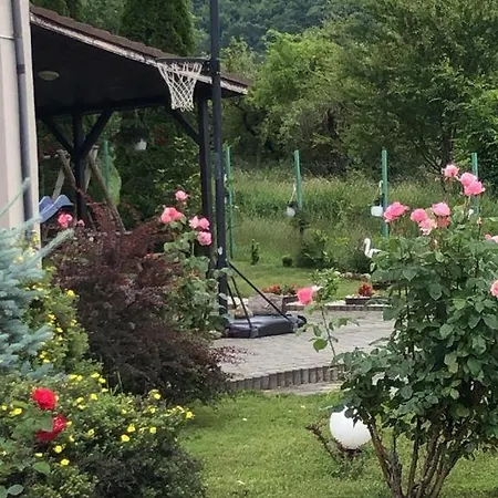 Pensiunea Casa Cu Flori Guest house