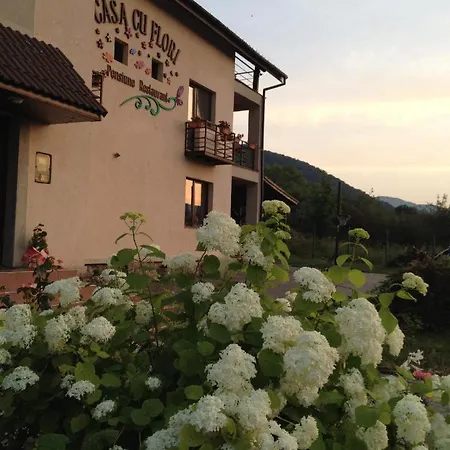 Guest house Pensiunea Casa Cu Flori 4*
