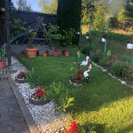 Pensiunea Casa Cu Flori Guest house Cisnadioara
