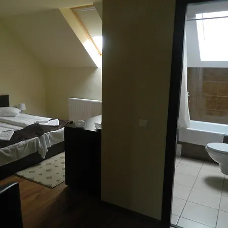 Guest house Pensiunea Casa Cu Flori 4*
