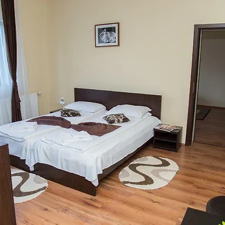 Guest house Pensiunea Casa Cu Flori