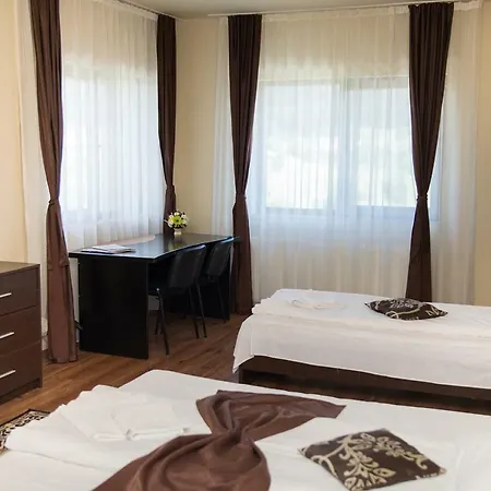 Guest house Pensiunea Casa Cu Flori