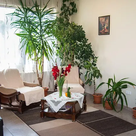 Guest house Pensiunea Casa Cu Flori 4*