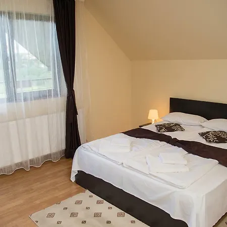 Pensiunea Casa Cu Flori Guest house