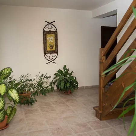 Pensiunea Casa Cu Flori Cisnadioara