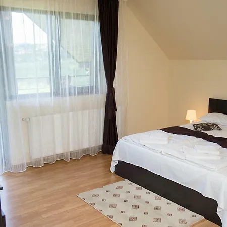 Pensiunea Casa Cu Flori Guest house 4*